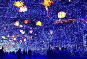 【三門(mén)峽國(guó)際光影藝術(shù)節(jié)】家門(mén)口的雜技表演和燈光秀，精彩不容錯(cuò)過(guò)！